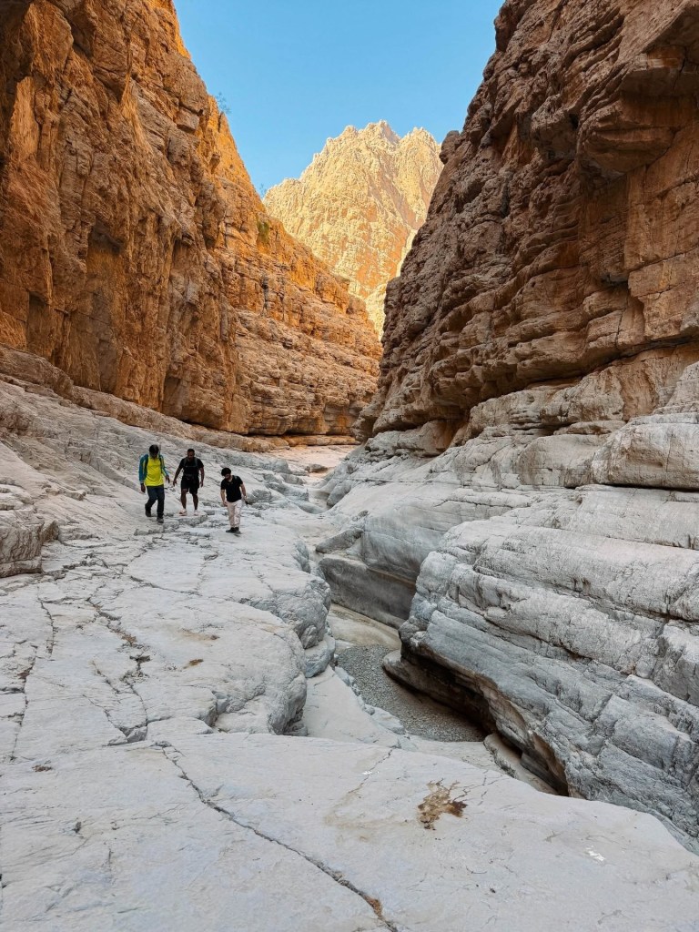 People hiking through a rocky canyon with tall cliffs and a blue sky.