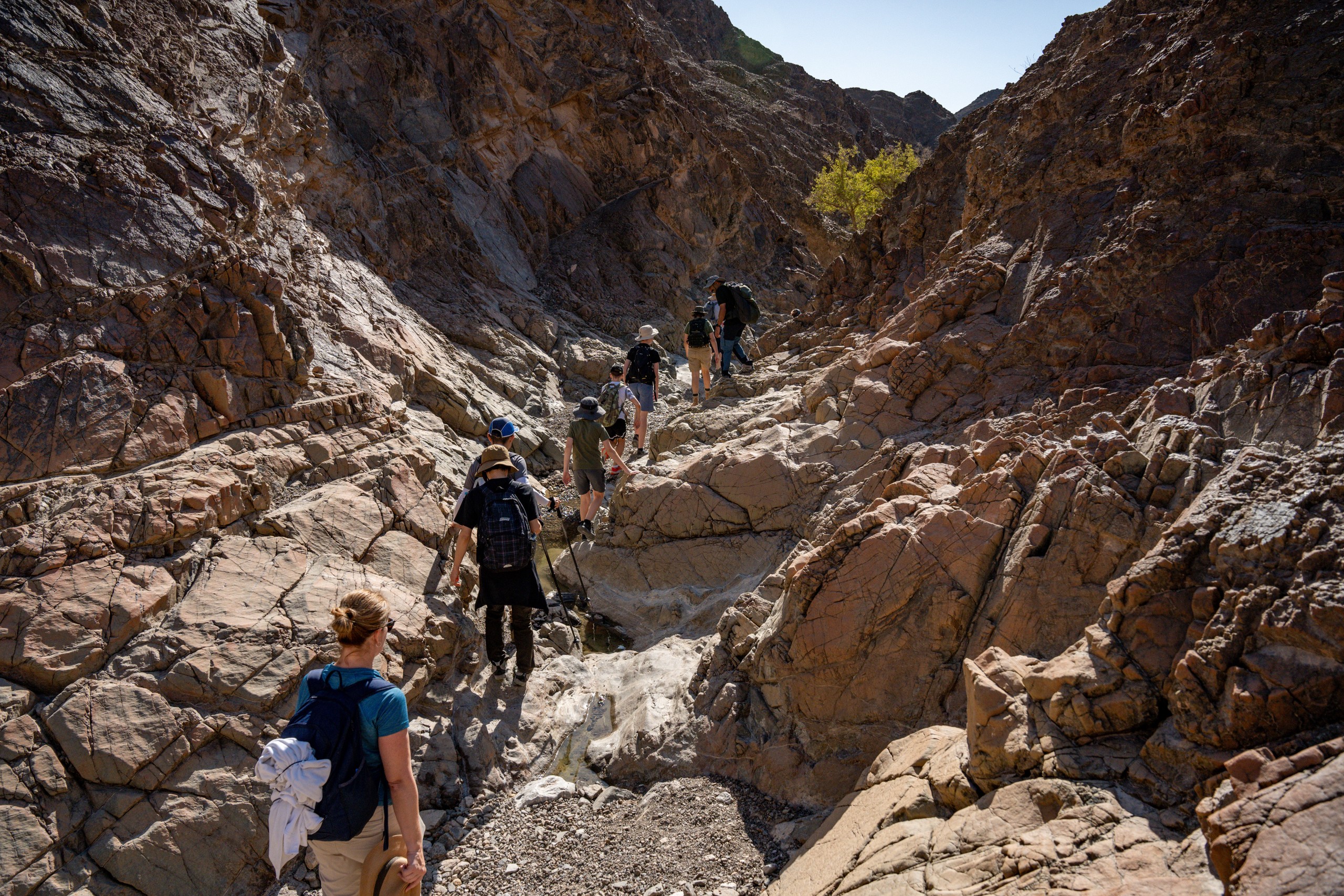 Hikers walking through a rocky canyon under clear skies.