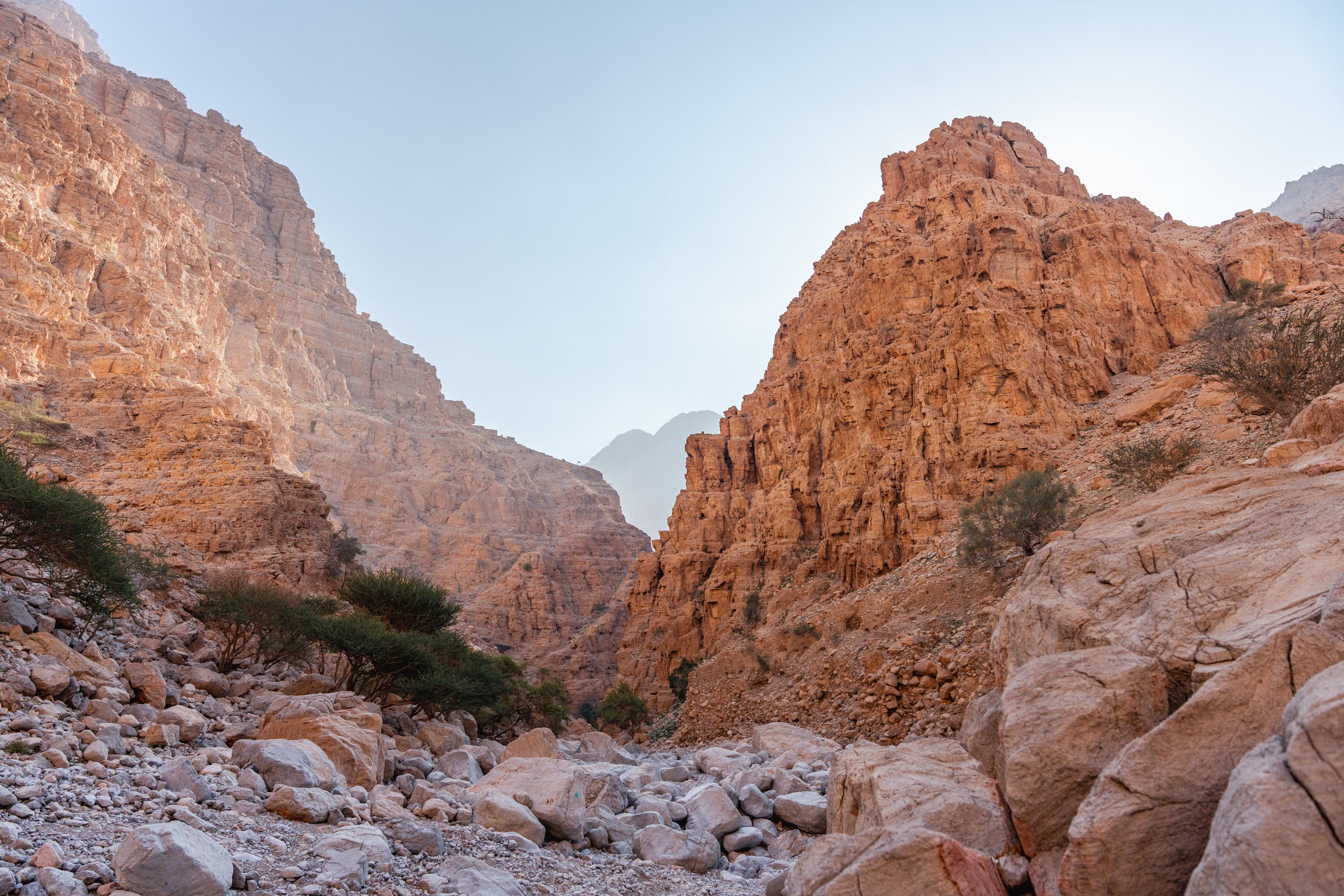 Rocky canyon with arid landscape and sparse vegetation under clear sky.