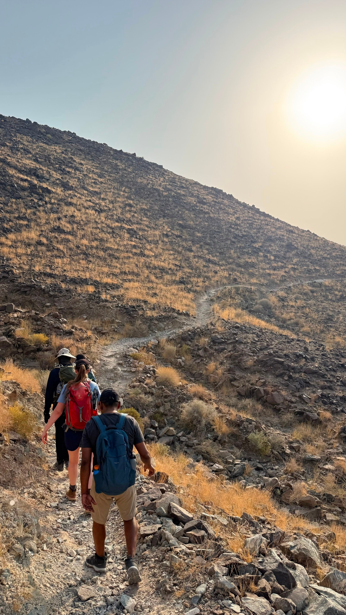 Hikers on a rocky trail with sunlit mountain slope.