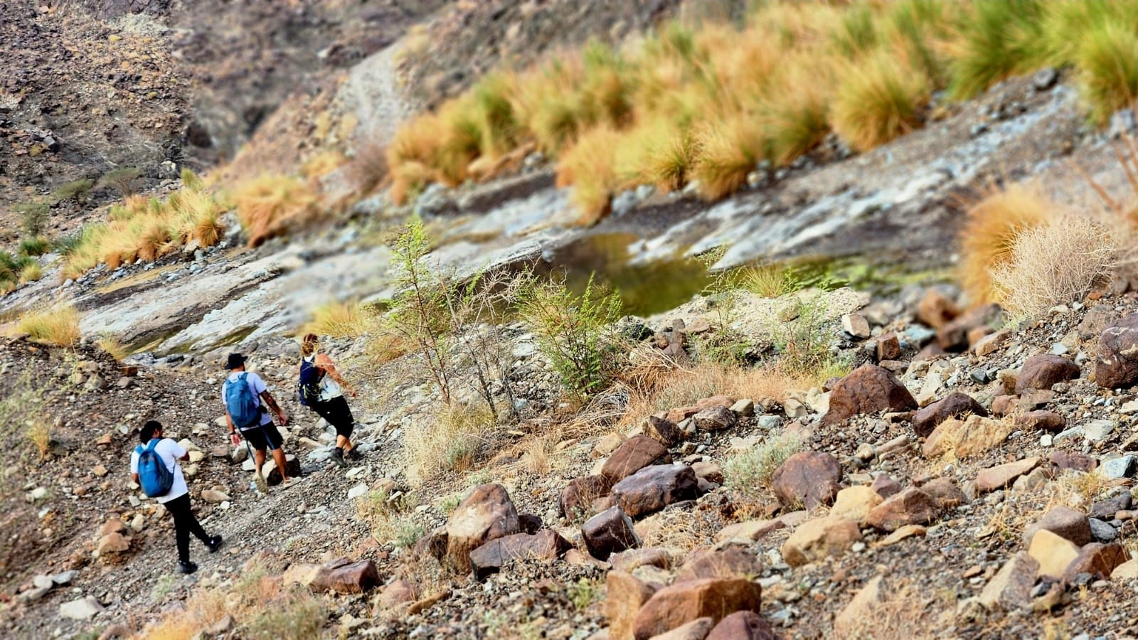 Hikers walking on rocky terrain near a small pond.