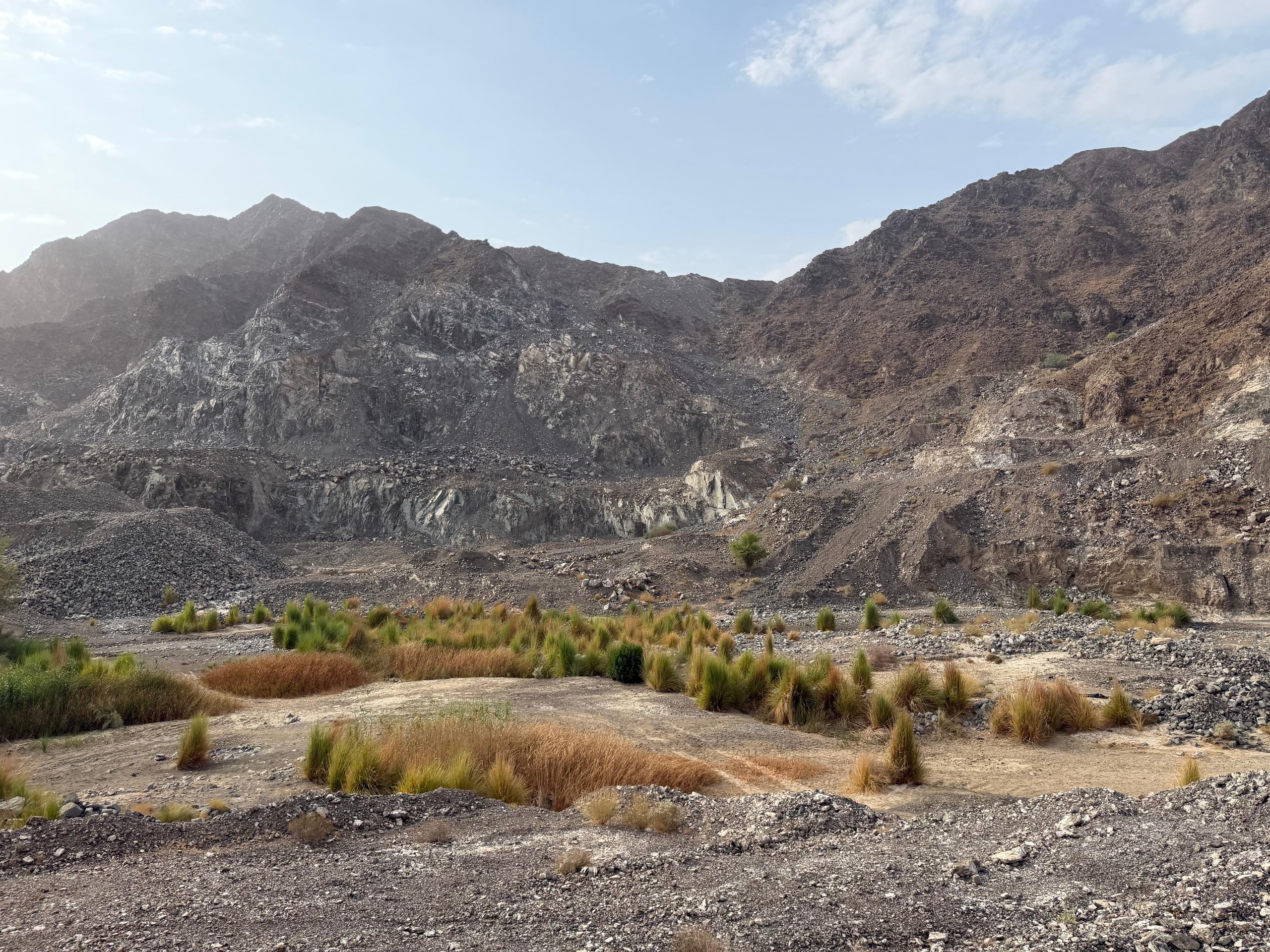 Rocky landscape with sparse vegetation and distant mountains under a partly cloudy sky.